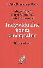 Indywidualne konta emerytalne. Komentarz