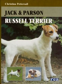 Jack  Parson Russel Terrier