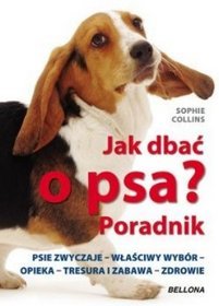 Jak dbać o psa? Poradnik