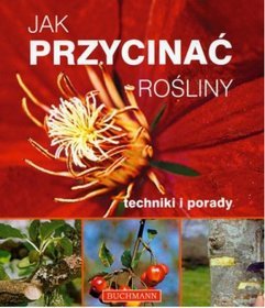 Jak przycinać rośliny Techniki i porady