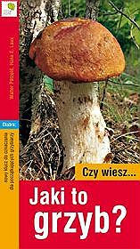 Jaki to grzyb?