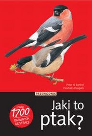 Jaki to ptak?
