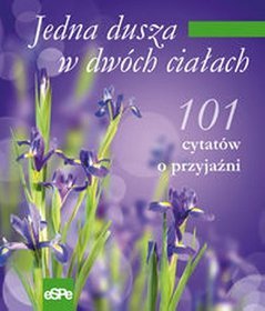 Jedna dusza w dwóch ciałach