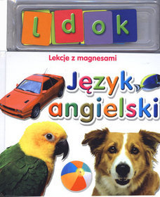 Język angielski Lekcje z magnesami