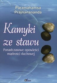 Kamyki ze stawu