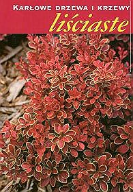 Karłowe drzewa i krzewy liściaste