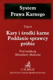 Kary i środki karne. Poddanie sprawcy próbie, tom 6