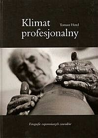 Klimat profesjonalny