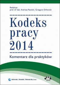 Kodeks pracy 2014. Komentarz dla praktyków