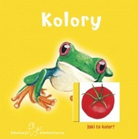 Kolory