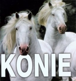 Konie