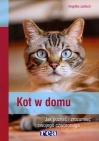 Kot w domu