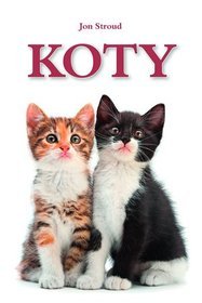 Koty