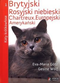 Koty krótkowłose