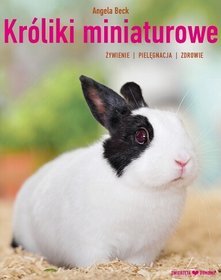 Króliki miniaturowe. Hodowla