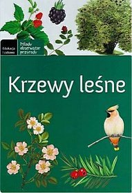 Krzewy leśne