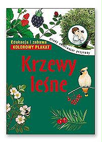 Krzewy leśne. Młody obserwator przyrody