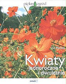 Kwiaty jednoroczne i dwuletnie