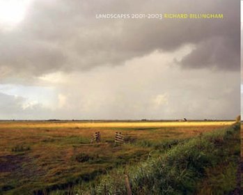 Landscapes 2001-2003