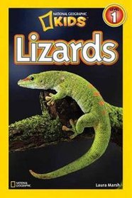 Lizards