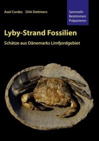 Lyby-Strand Fossilien