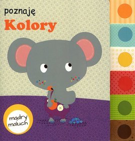 Mądry maluch. Poznaję kolory