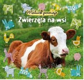 Maluch poznaje Zwierzęta na wsi