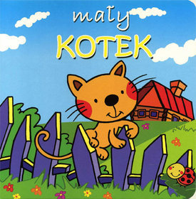 Mały kotek