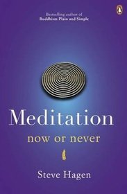 Meditation Now or Never