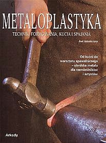 Metaloplastyka