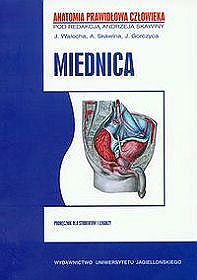 Miednica. Anatomia prawidłowa człowieka