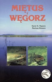 Miętus i Węgorz