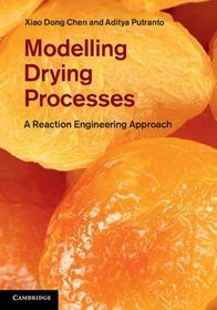 Modelling Drying Processes