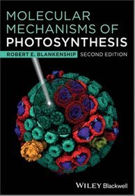 Molecular Mechanisms of Photosynthesis