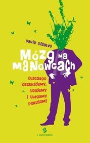 Mózg na manowcach. Dlaczego oszukujemy udajemy i ulegamy pokusom