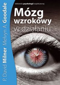 Mózg wzrokowy w działaniu