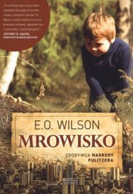 Mrowisko