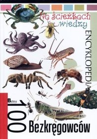 Na ścieżkach wiedzy. 100 bezkręgowców