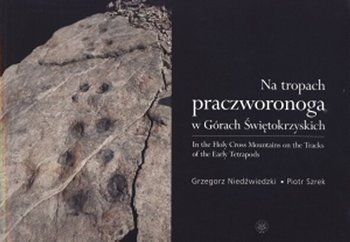 Na tropach praczworonoga w Górach Świętokrzyskich