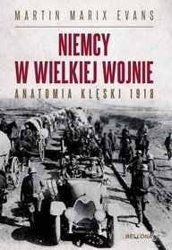 Niemcy w wielkiej wojnie