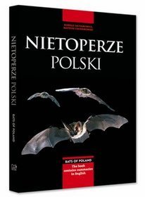 Nietoperze Polski