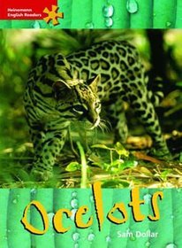 Ocelots: Intermediate Level