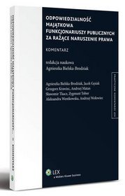 Odpowiedzialność majątkowa funkcjonariuszy publicznych za rażące naruszenie prawa