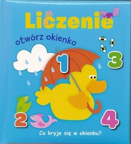 Otwórz okienko. Liczenie