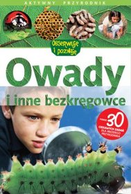 Owady i inne bezkręgowce