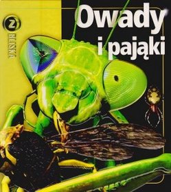 Owady i pająki. Z bliska