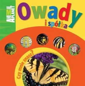 Owady i spółka