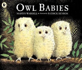 Owl Babies
