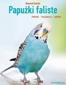 Papużki faliste. Hodowla