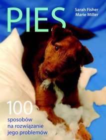 Pies 100 sposobów na rozwiązanie jego problemów